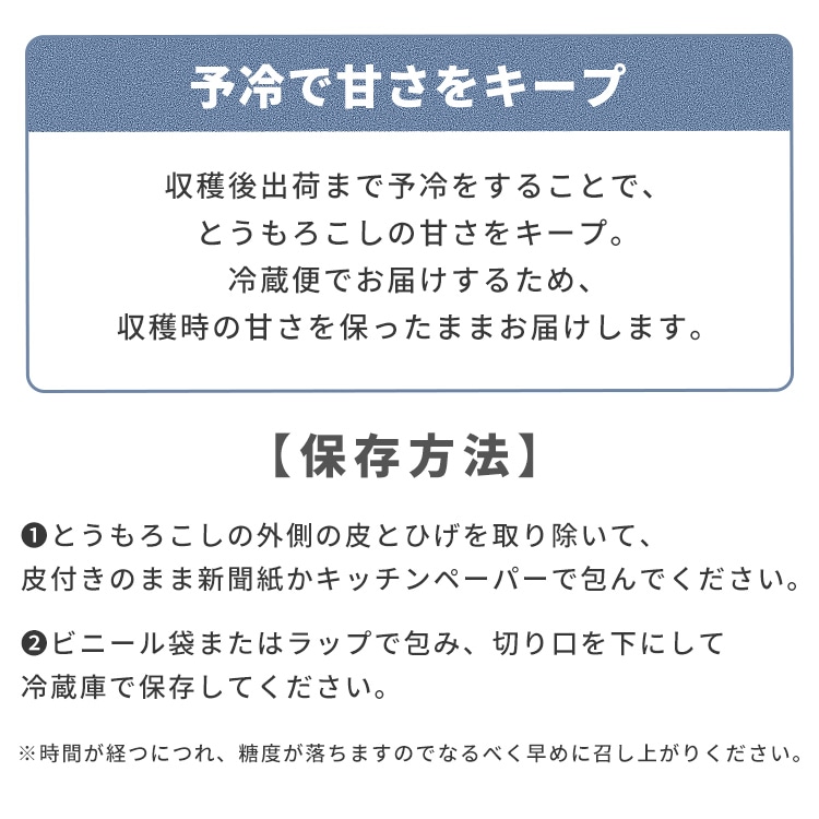 北海道産黄色・白いとうもろこし 各5本 【時間指定不可】【代引不可】【同梱不可】