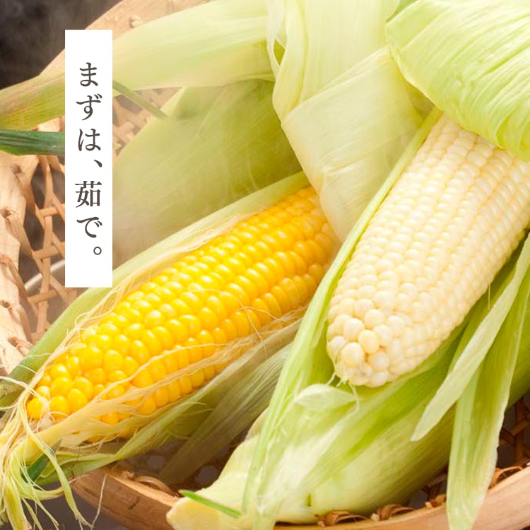 北海道産黄色・白いとうもろこし 各5本 【時間指定不可】【代引不可】【同梱不可】