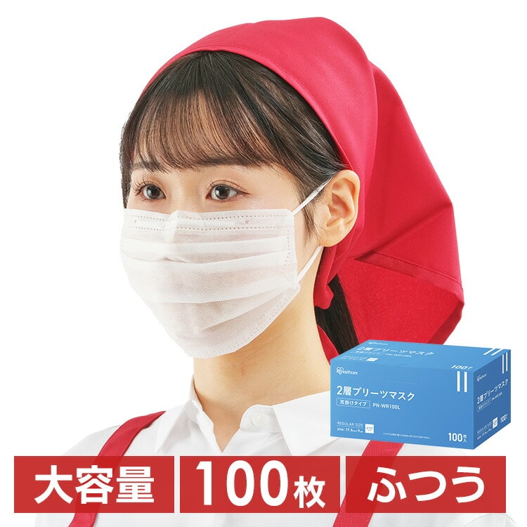 ［100枚］ マスク ふつうサイズ  2層プリーツ