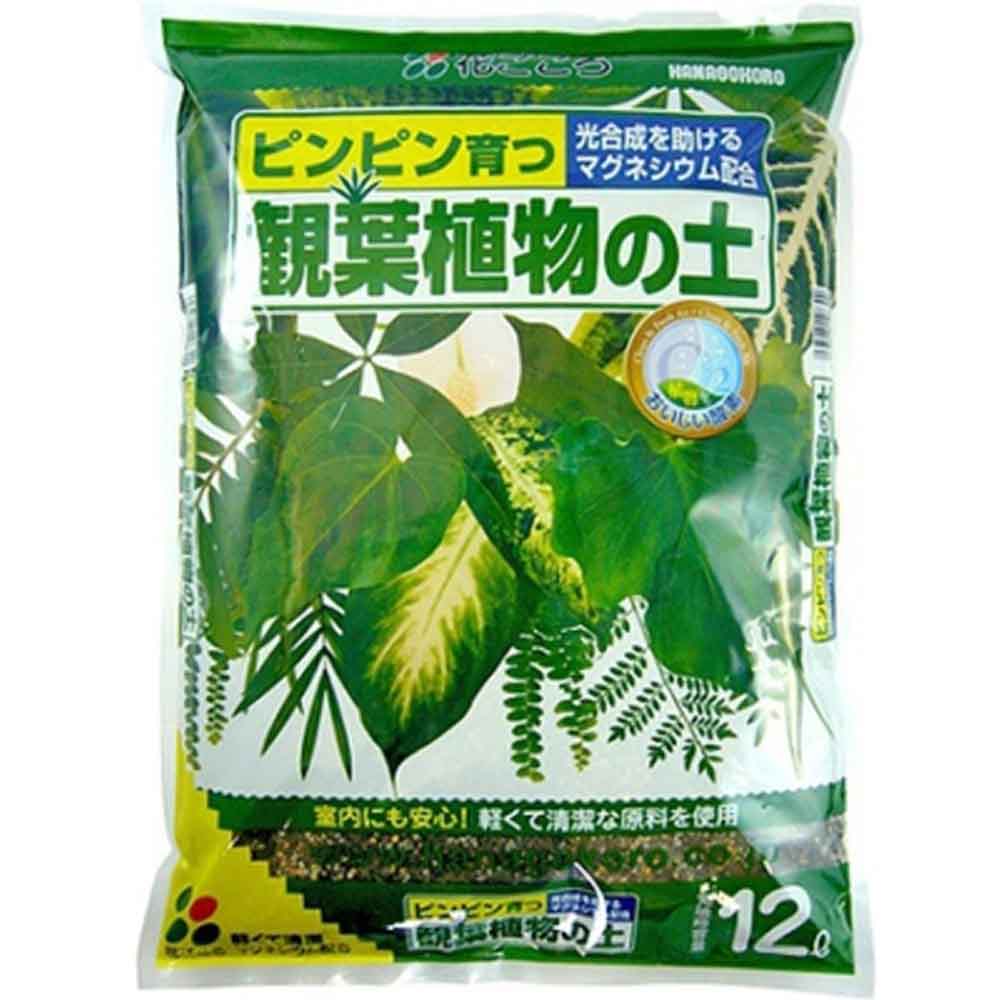 花ごころ 観葉植物の土 12L