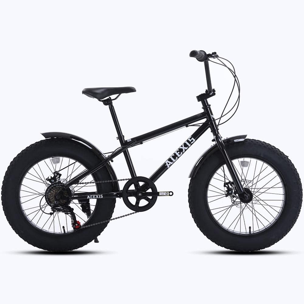 ACEXIS 【完成車】ACEXISファットバイク TUNDRA ブラック【時間指定不可】【代引不可】【同梱不可】