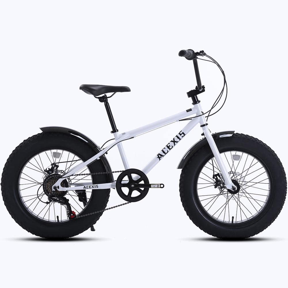 ACEXIS 【完成車】ACEXISファットバイク TUNDRA ホワイト【時間指定不可】【代引不可】【同梱不可】