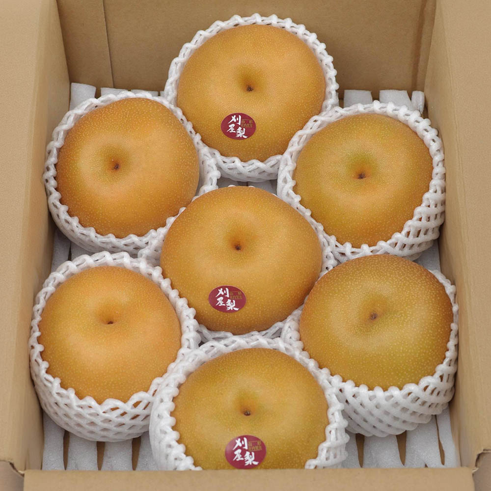 山形県産訳あり刈屋梨 約2kg（6～10玉） 【時間指定不可】【代引不可】【同梱不可】