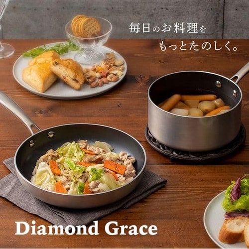 ダイヤモンドグレイス 10点セット シルバー DG-SE10 シルバー