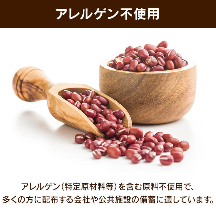 \長期保存に/【10箱セット】チョコえいようかん 保存食 防災食 井村屋株式会社 10箱