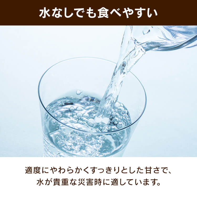 \長期保存に/【10箱セット】チョコえいようかん 保存食 防災食 井村屋株式会社 10箱