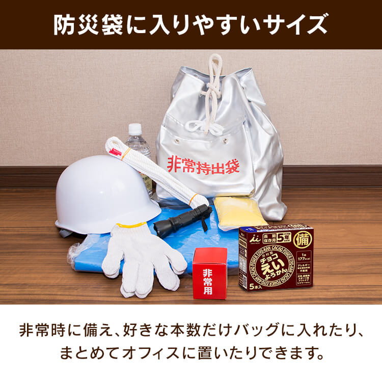\長期保存に/【10箱セット】チョコえいようかん 保存食 防災食 井村屋株式会社 10箱