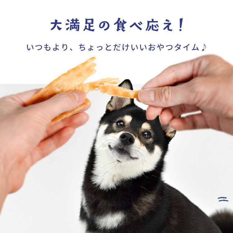 SANRIKU MIRAI マンボウ切身ジャーキー130g マンボウ切身ジャーキー130g