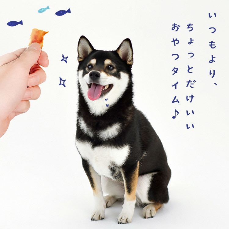 SANRIKU MIRAI マンボウ切身ジャーキー30g マンボウ切身ジャーキー30g