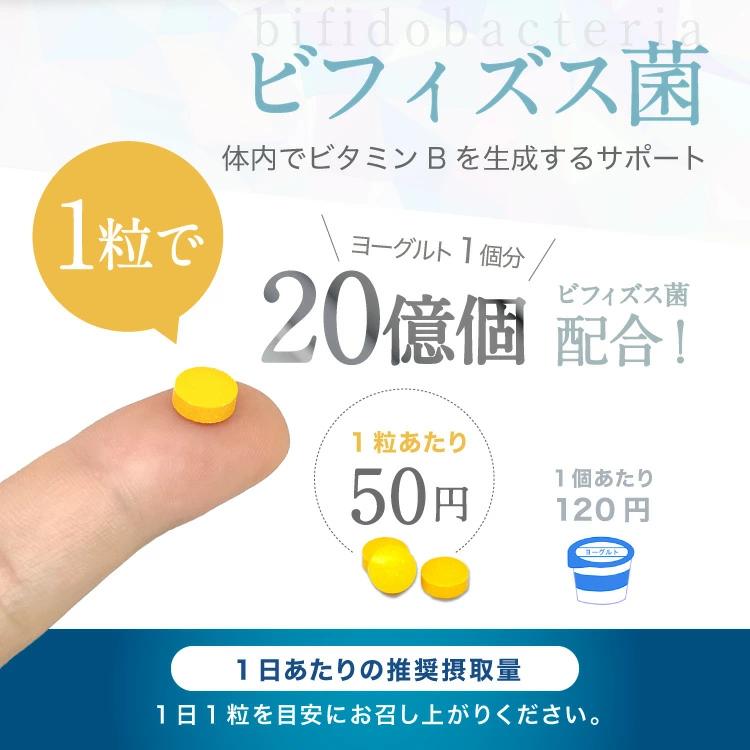 ビタミンB群+ビフィズス菌配合 サプリメント 30日分 ビタミンB+ビフィズス菌 腸内環境と栄養バランスを整える 健康サポート 国内製造 バイオ製薬