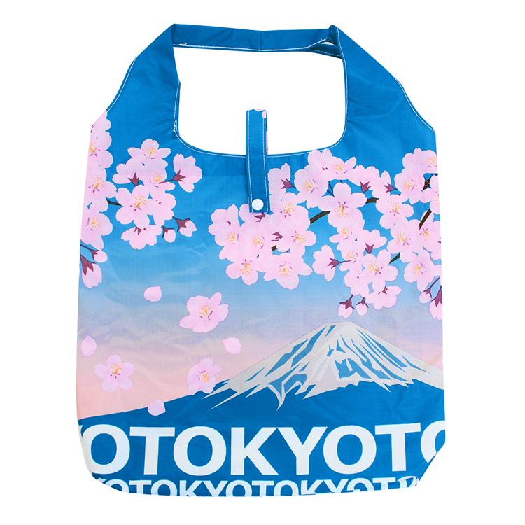 TOKYO×富士山