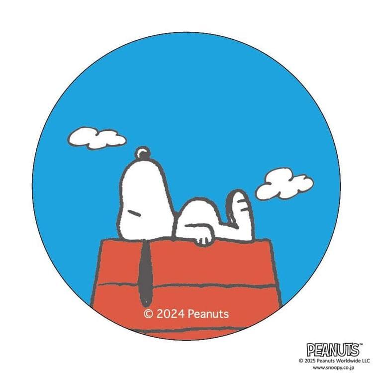 PEANUTS4