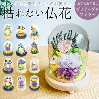 ガラスドーム インテリア アレンジメント L 通販 フラワーアレンジメント プリザーブドフラワー プリザードフラワー 供え花 献花 長持ち ドーム 花器付き お供え お盆 花 フラワー 枯れない 贈り物 ギフト 玄関 トイレ リビング 寝室 進物 法要