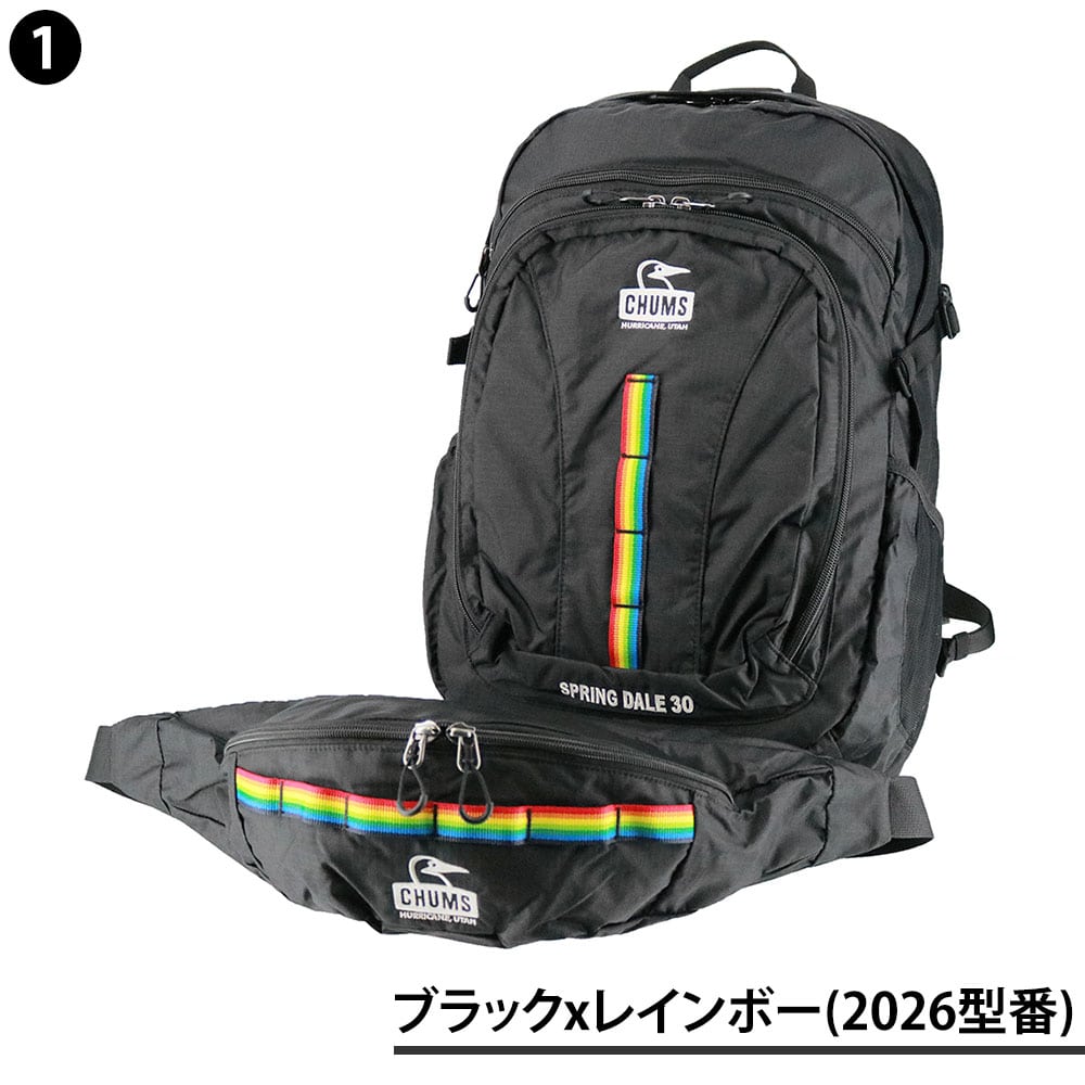 チャムス バッグ リュック バックパック ザックパック 登山 CHUMS スプリングデール30 30L B4 A4 CH60-3998 CH60-4097 1.ブラックxレインボー(2026型番) -604097k042 1.ブラックxレインボー(2026型番)