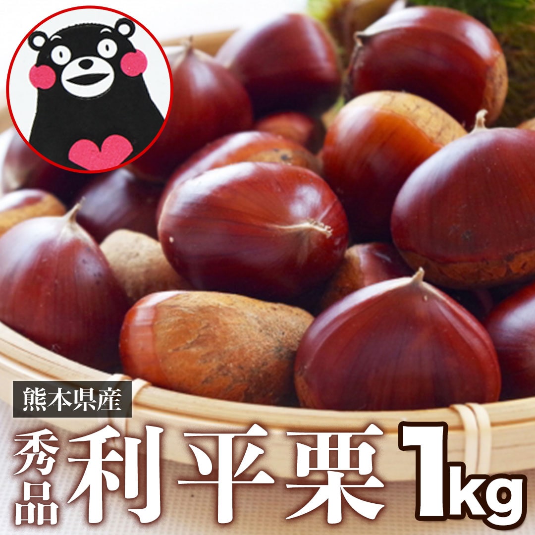 熊本県産 秀品 利平栗 1kg【希少品種】栗 3L～2Lサイズ 生栗 りへいくり 栗ご飯 モンブラン 渋皮煮 和栗 くり クール便 秋 国産 秋の味覚 お取り寄せ むきやすい《9月下旬-10月上旬頃より出荷予定》 _-gf_scriheiguri_l9_26_4980_1000g