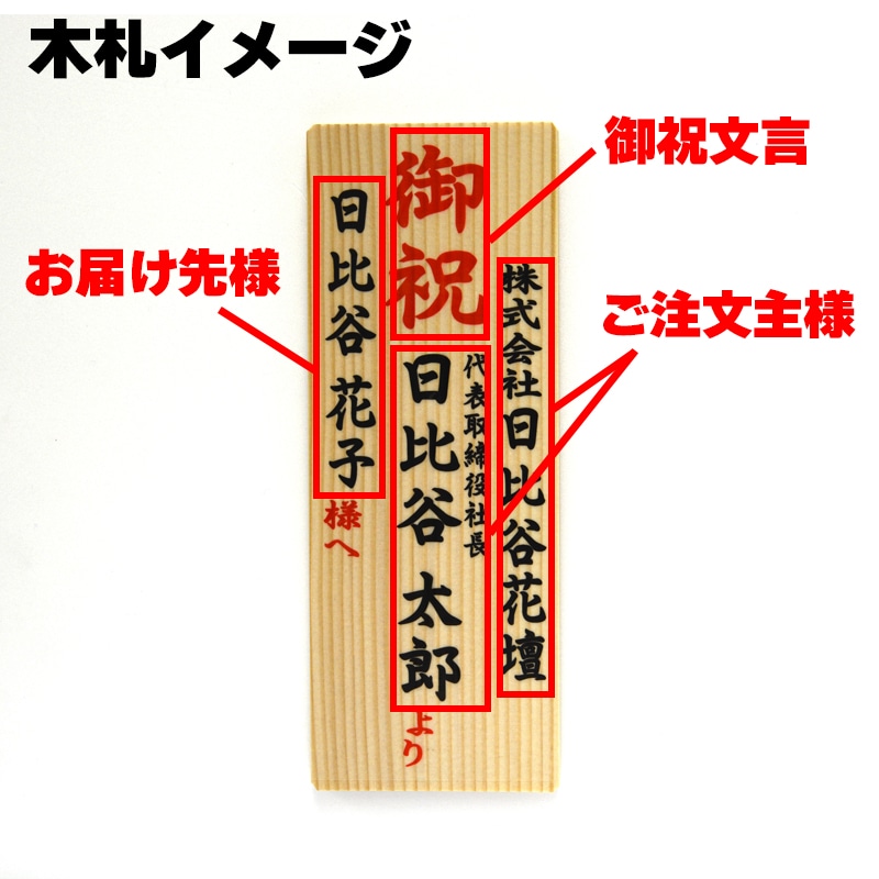 大輪42輪3本立胡蝶蘭(ホワイト)8号鉢(木札付) 送料込み