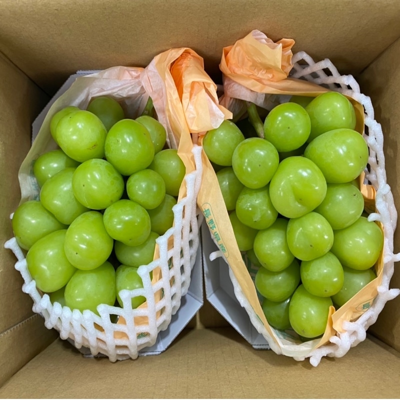 画像9