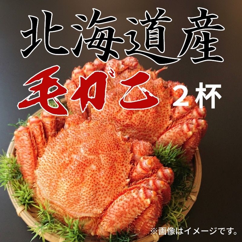 北海道産毛ガニ７００ｇ（２杯） 送料込み