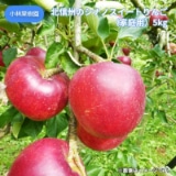 北信州のシナノスイートりんご（家庭用）５ｋｇ 送料込み