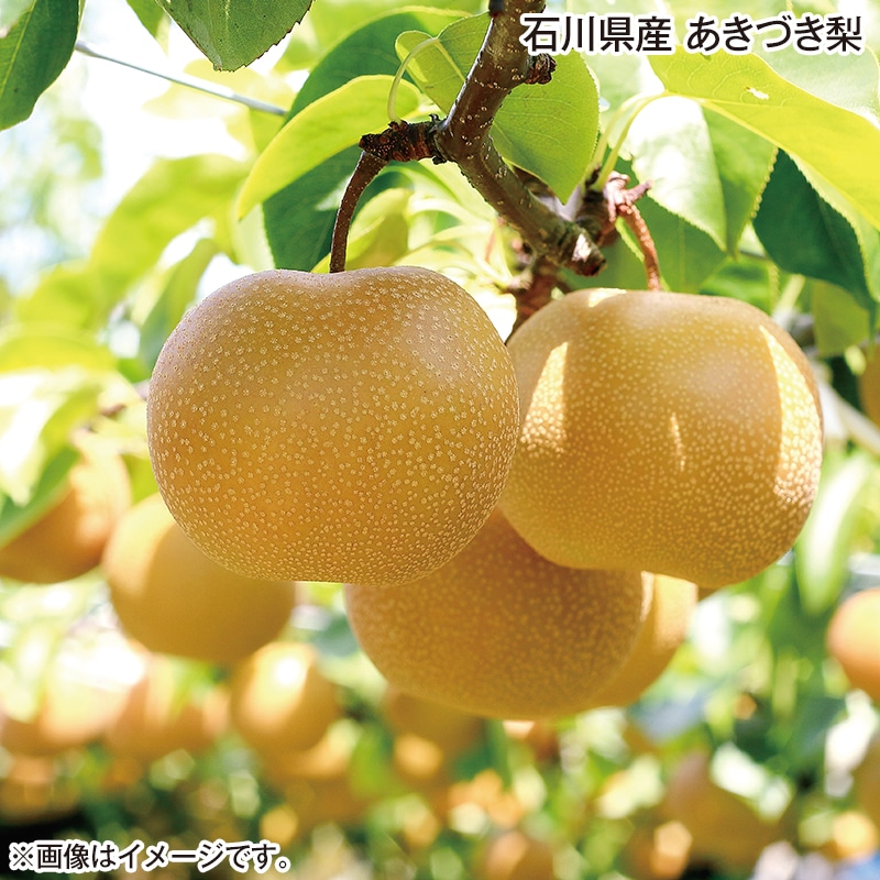 石川県産　あきづき梨 送料込み