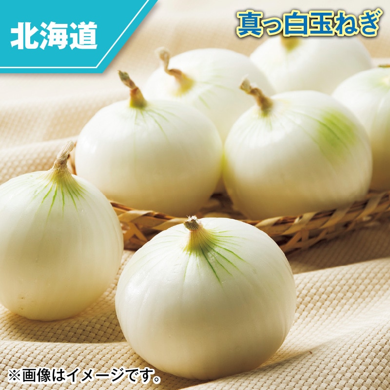 真っ白玉ねぎ 送料込み