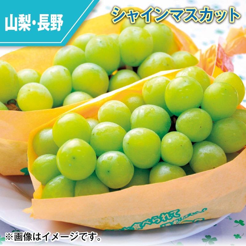 シャインマスカット 送料込み