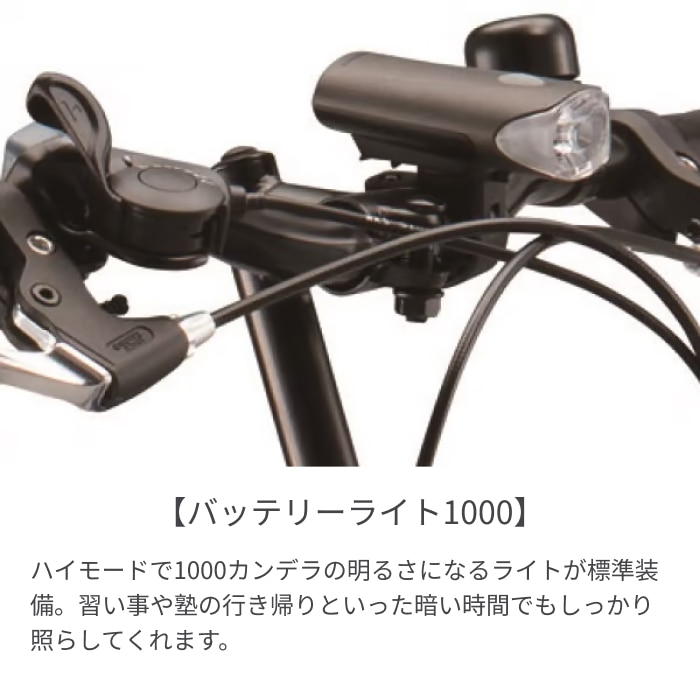 こども用自転車 BRIDGESTONE(ブリヂストン) シュライン E.Xブラック 24インチ 2025年モデル SHL45 E.Xブラック/24インチ(2025モデル) 24インチ