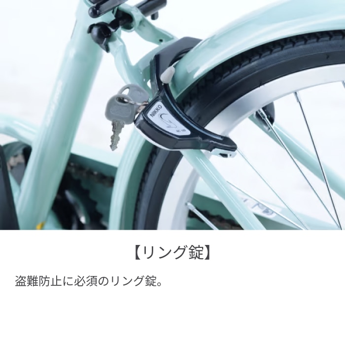 こども用自転車 サカイサイクル アンジー・ジュニア グレー 22インチ 22インチ ANG22 グレー/22インチ 22インチ