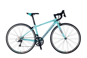 CK16/TIT(2024)/55cm