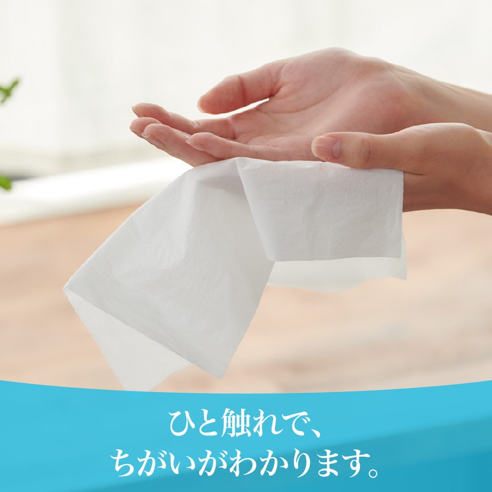 大王製紙 エリエール+Water 180組5個【10個セット】