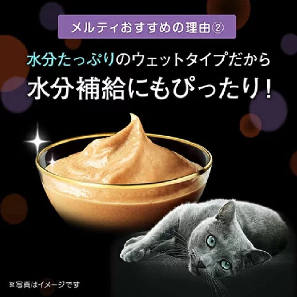 マース シーバ とろーり メルティ とりささみ味セレクション 12g×4本