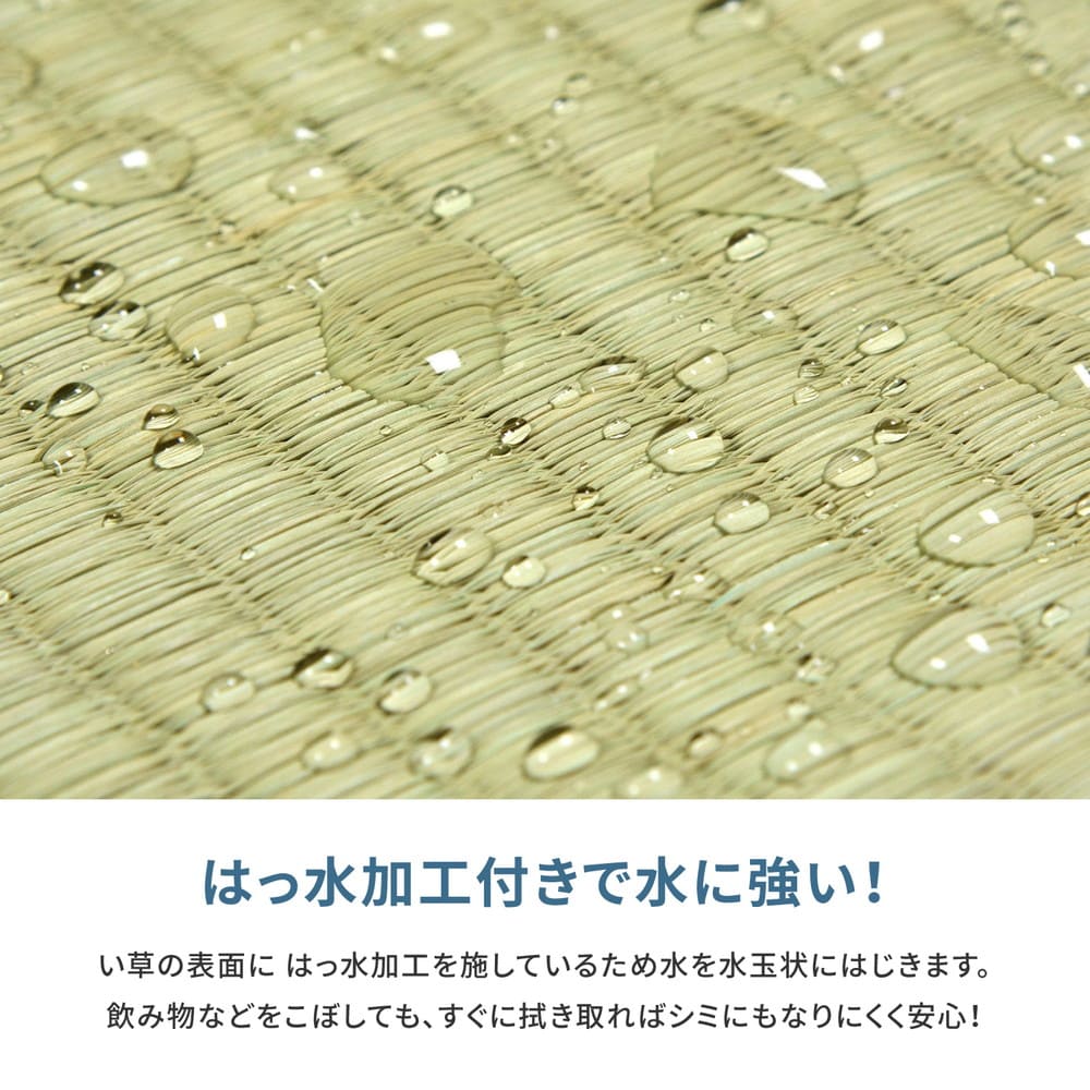 フリーカット裏付 い草カーペット みすず 本間2畳 【直送品】 返品・キャンセル・他商品と同時購入は不可