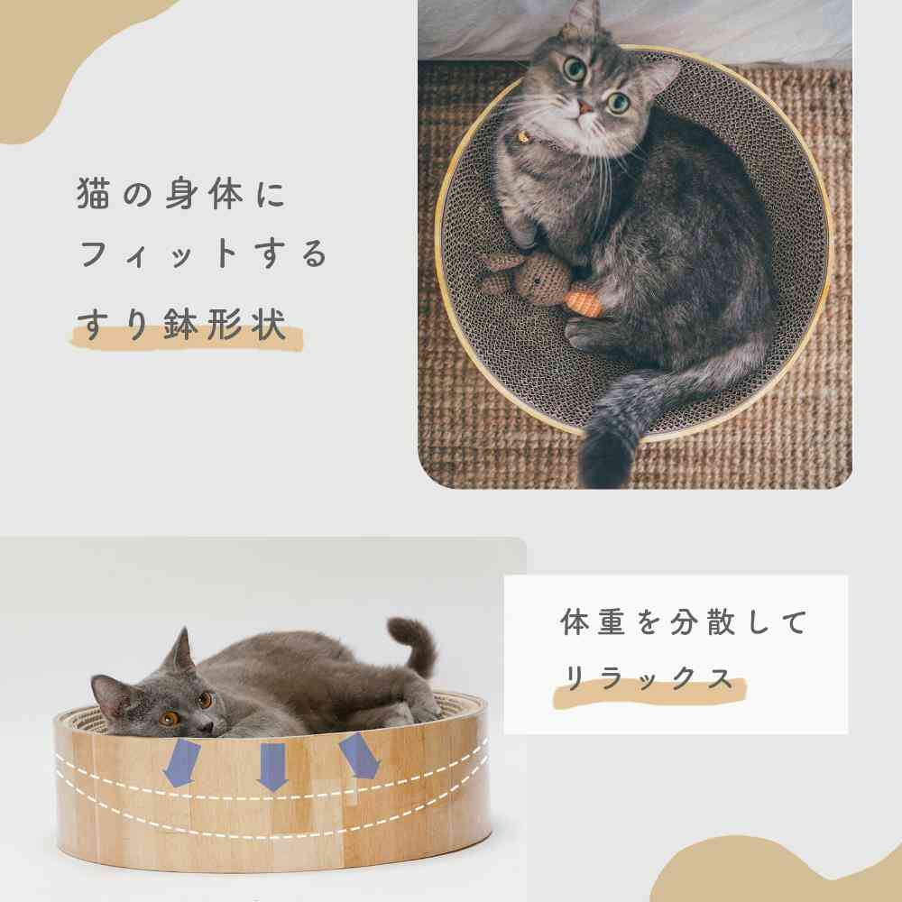 バリバリボウルXL ダークブラウン 【直送品】 返品・キャンセル・他商品と同時購入は不可
