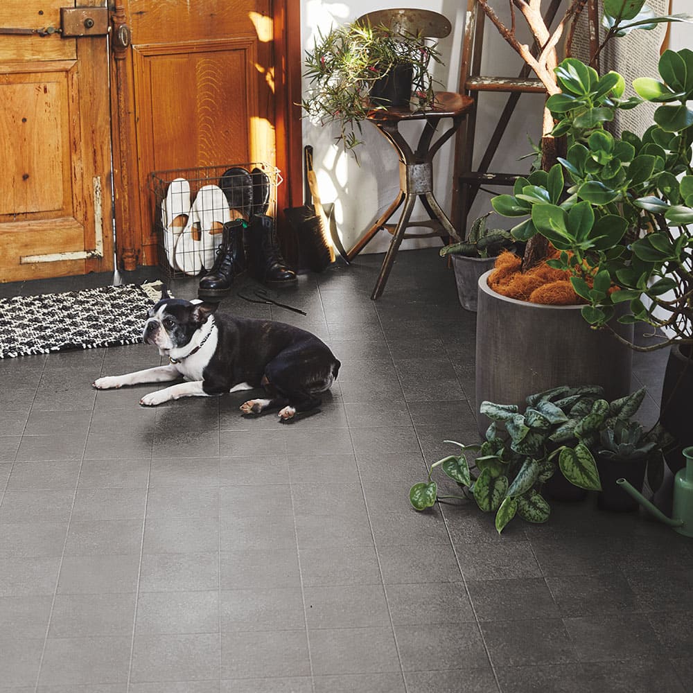 ペット対応 CF ラグ 約182×300cm クレイブロック 【直送品】 返品・キャンセル・他商品と同時購入は不可