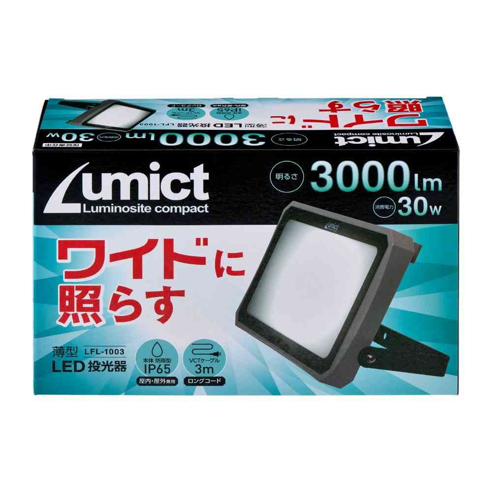 エルパ　ＥＬＰＡ　ＡＣ式投光器　３０００ＬＭ　LFL-1003