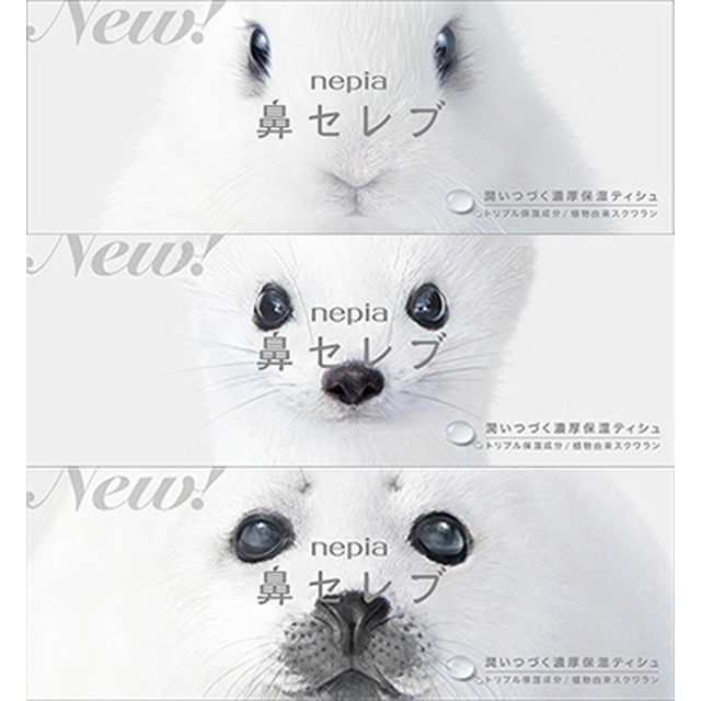 ハナセレブティシュ 3P
