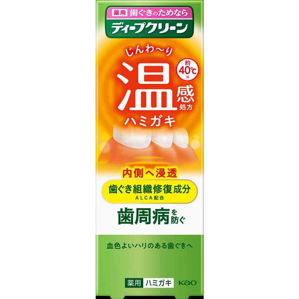 [医薬部外品]花王 ディープクリーン 薬用温感ハミガキ 85g