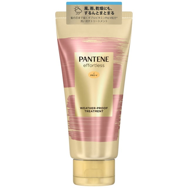 P＆G パンテーン エフォートレス ウェザープルーフ トリートメント 160g