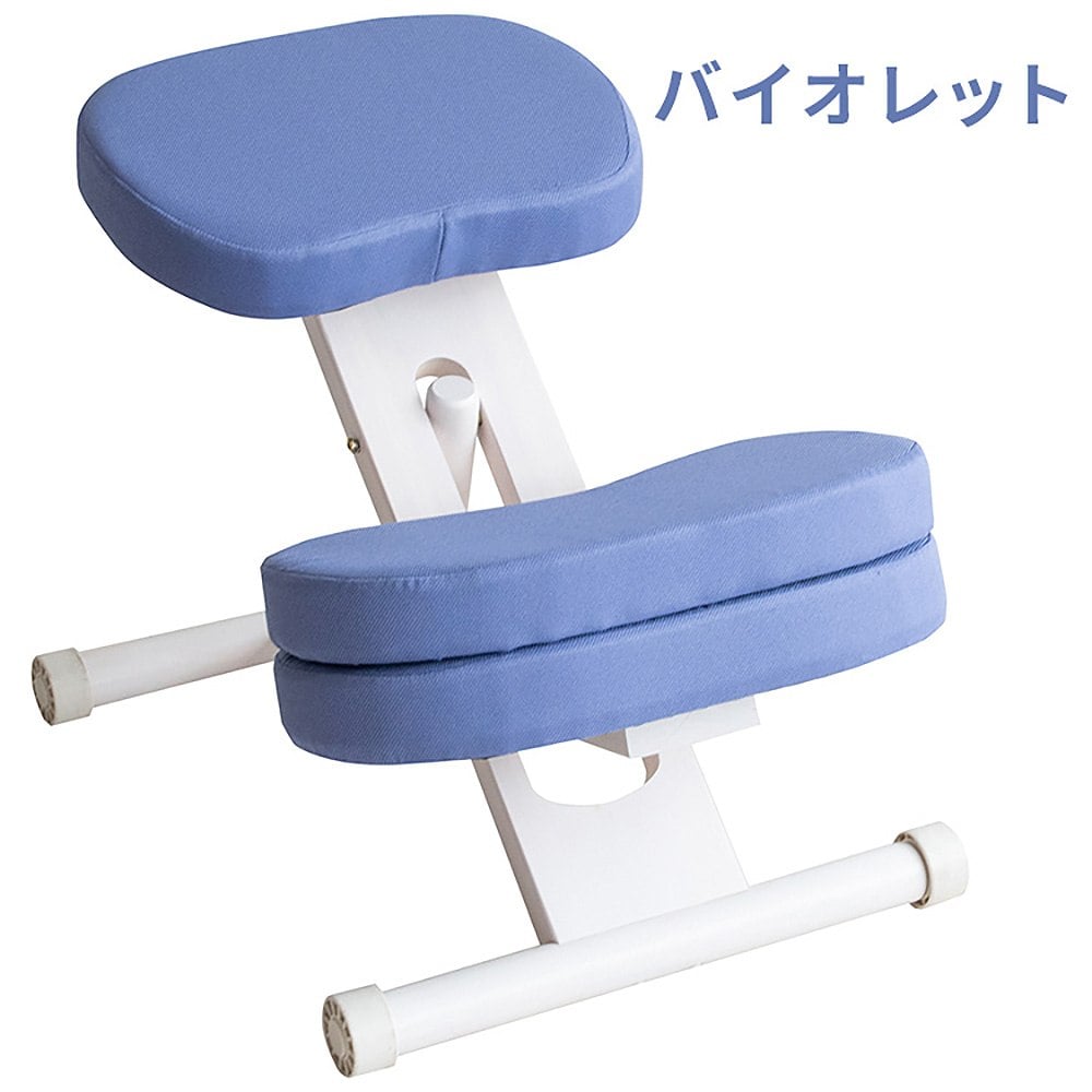 プロポーションチェア CH-N889CK ホワイトバイオレット 組立必要 【直送品】 返品・キャンセル・他商品と同時購入は不可