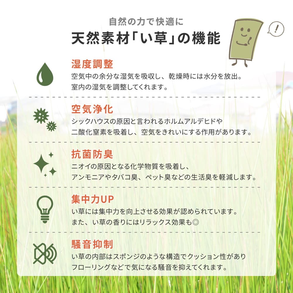 い草カーペット 柳川（やながわ） 江戸間4.5畳 【直送品】 返品・キャンセル・他商品と同時購入は不可