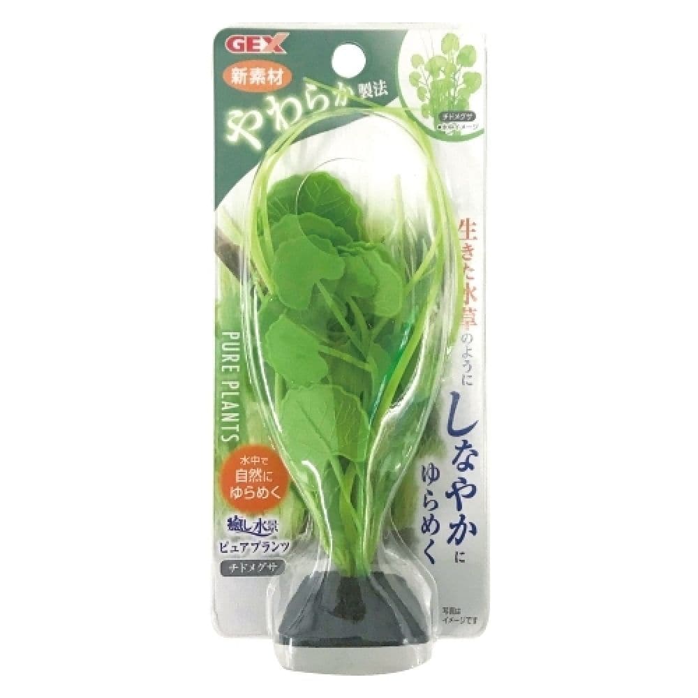 ジェックス 癒し水景ピュアプランツチドメグサ