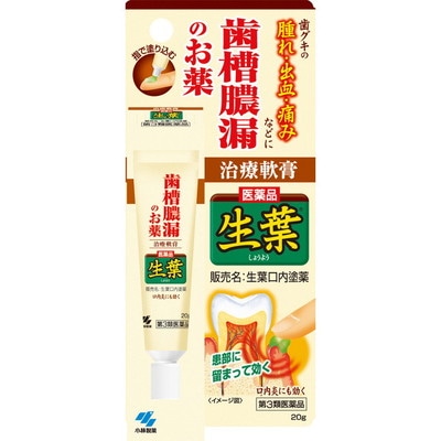 【第3類医薬品】小林製薬 小林製薬 生葉口内ぬり薬 20G