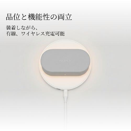 ソニー(SONY) HAC-1000XM6CB ブラック WF-1000XM6専用ケースカバー 装着状態で有線・ワイヤレス充電可能