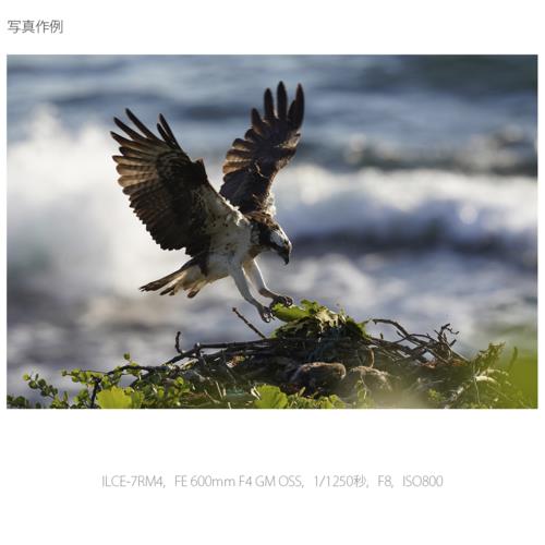 【長期保証付】ソニー(SONY) α7R IV ボディ ILCE-7RM4A フルサイズ ミラーレス一眼カメラ ILCE7RM4A