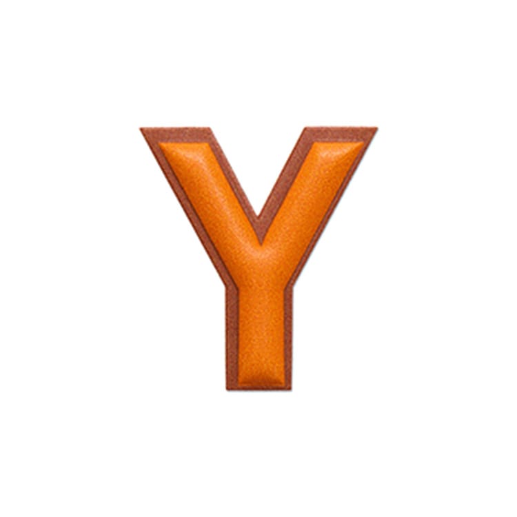 Y オレンジ