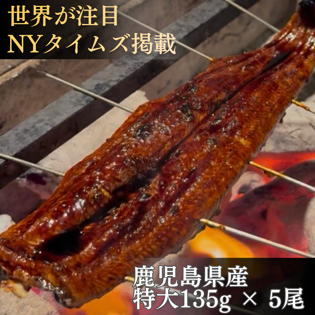本格炭火焼 鹿児島県産うなぎ蒲焼き5尾セット うなぎ135g×5
