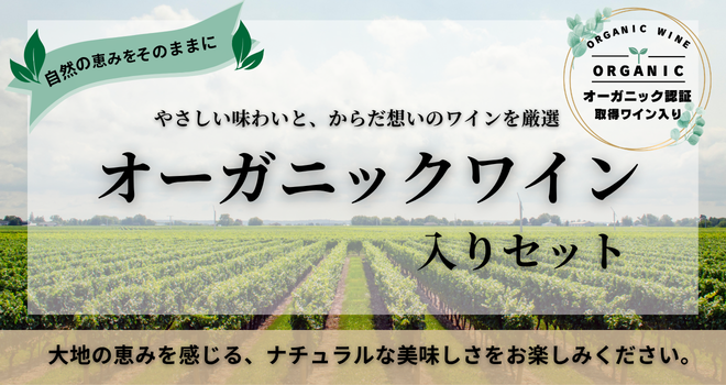 オーガニックセット