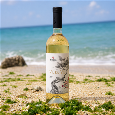 VIE DE VIS トラミネール 2022 (Vie de Vis Traminer)