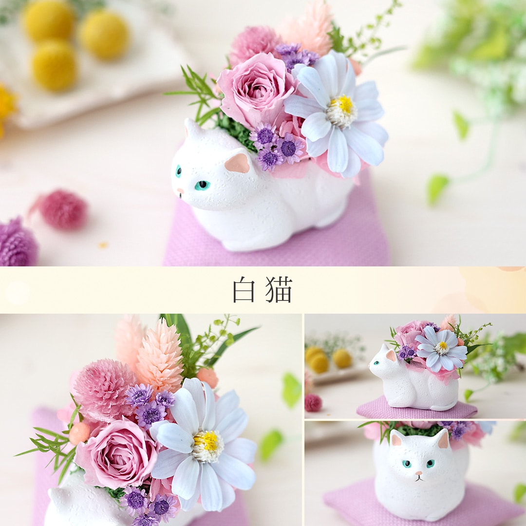 プリザーブドフラワー くつろぎねこ 「白猫」 枯れない ブリザード フラワー アレンジメント 花 プレゼント ギフト 誕生日 結婚祝い 結婚記念日 退職祝い お祝い おしゃれ かわいい ねこ 猫 和風 猫好き 白猫