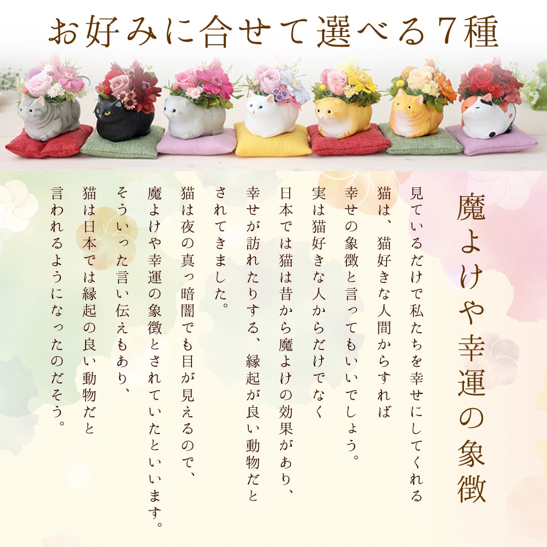 プリザーブドフラワー くつろぎねこ 「白猫」 枯れない ブリザード フラワー アレンジメント 花 プレゼント ギフト 誕生日 結婚祝い 結婚記念日 退職祝い お祝い おしゃれ かわいい ねこ 猫 和風 猫好き 白猫